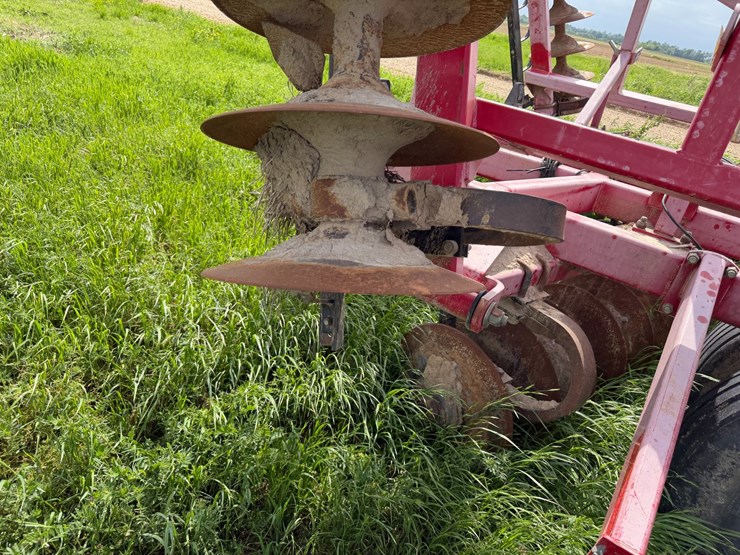 sunflower-1234-image-17