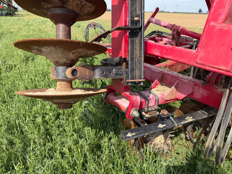 sunflower-1234-image-37