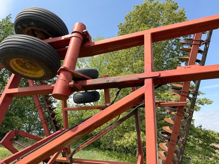 sunflower-1233-32-image-25