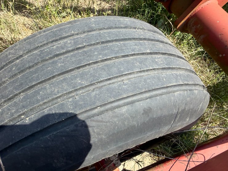 sunflower-1233-27-image-9