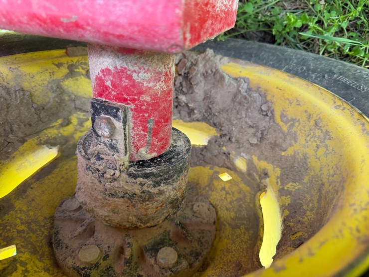 sunflower-1234-image-9