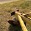 #45275-•-allen-manufacturing-2-blade-levee-ditcher-image-11