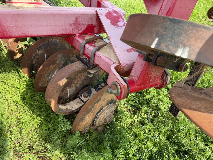 sunflower-1234-image-32