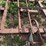 #45299-•-12'-chisel-plow-image-16