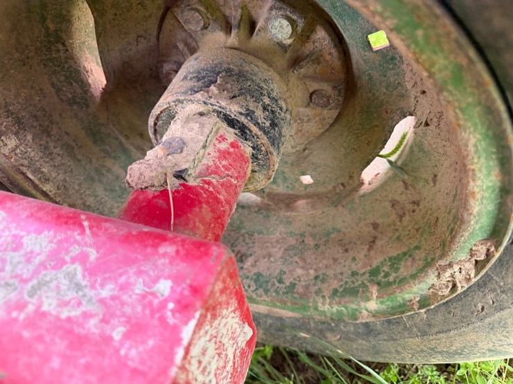 sunflower-1234-image-8