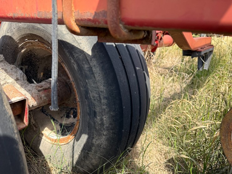 sunflower-1233-27-image-15