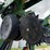 john-deere-1720-image-55