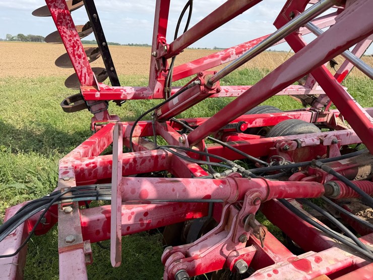 sunflower-1234-image-44