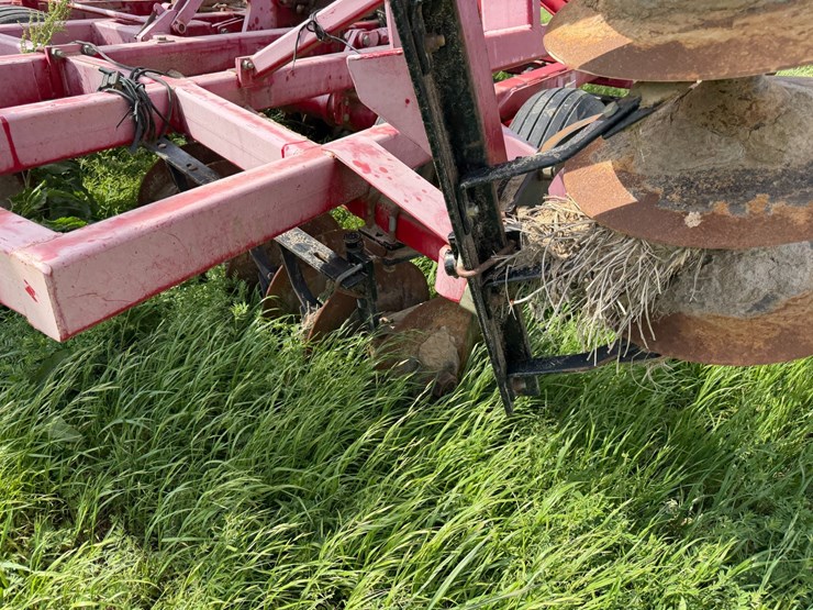 sunflower-1234-image-20