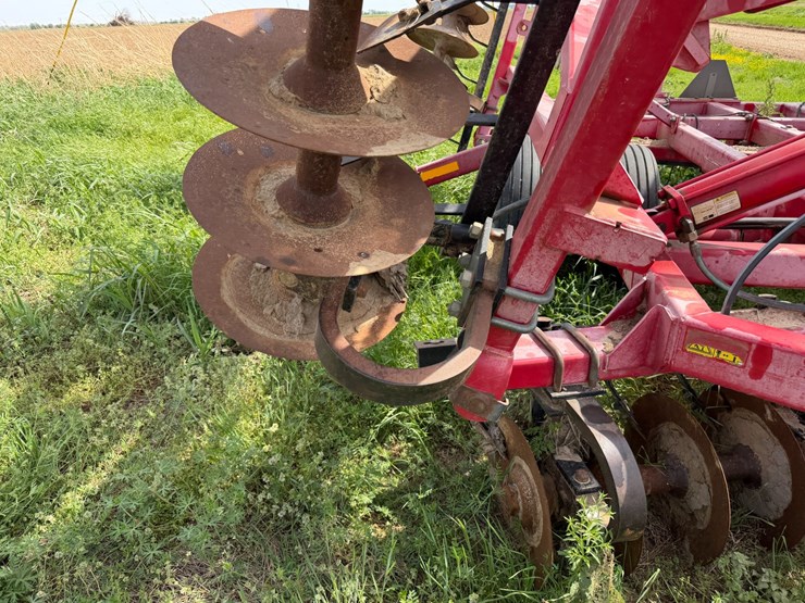 sunflower-1234-image-56