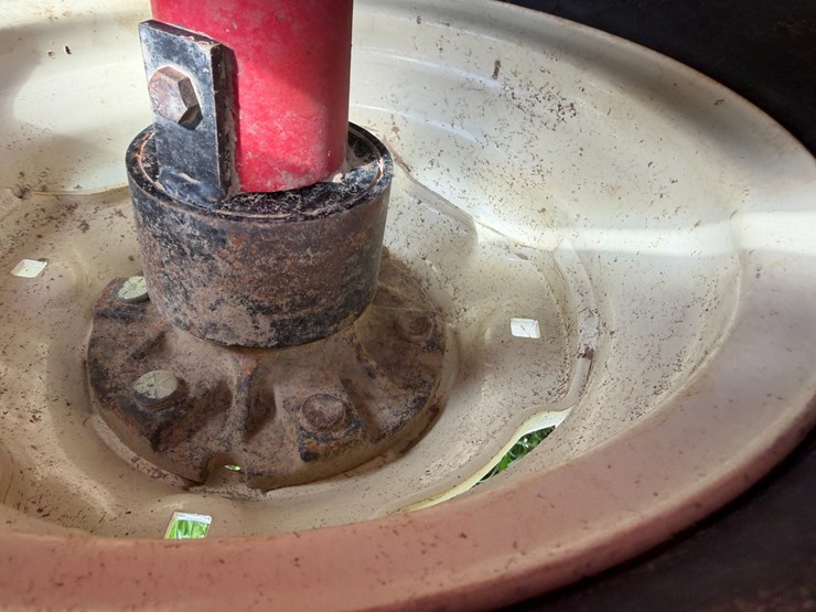 sunflower-1234-image-14