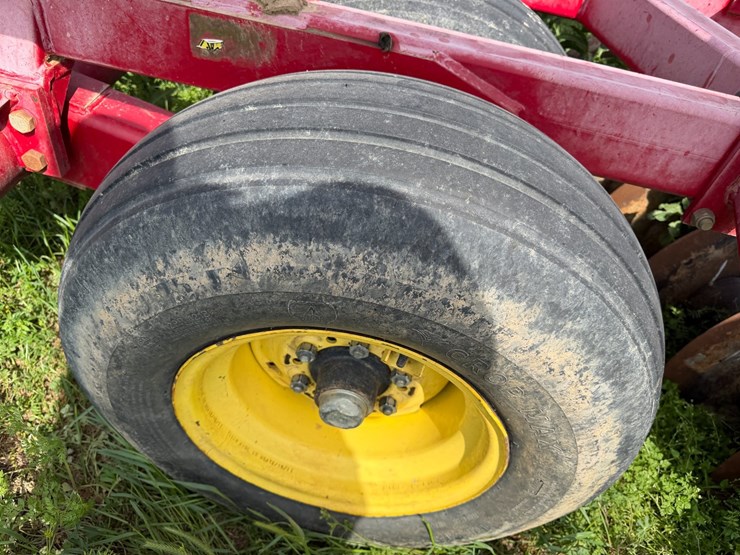 sunflower-1234-image-6