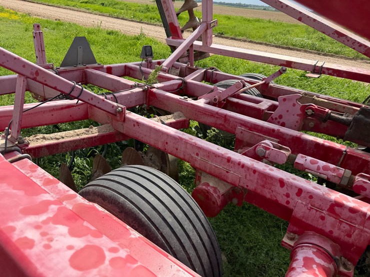 sunflower-1234-image-62