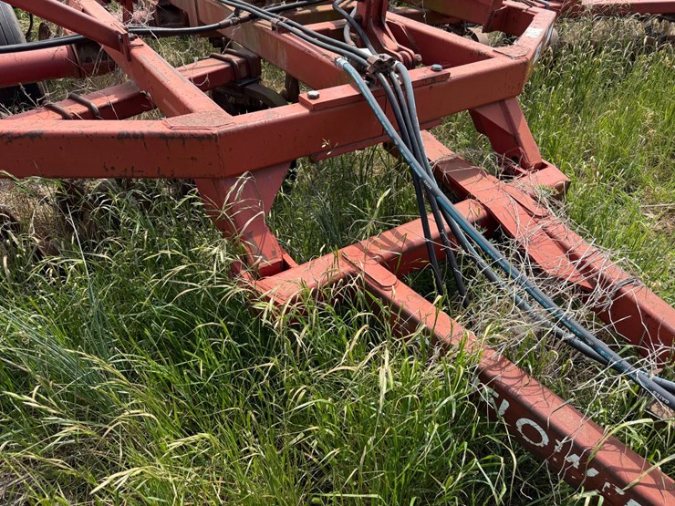 sunflower-1233-27-image-61