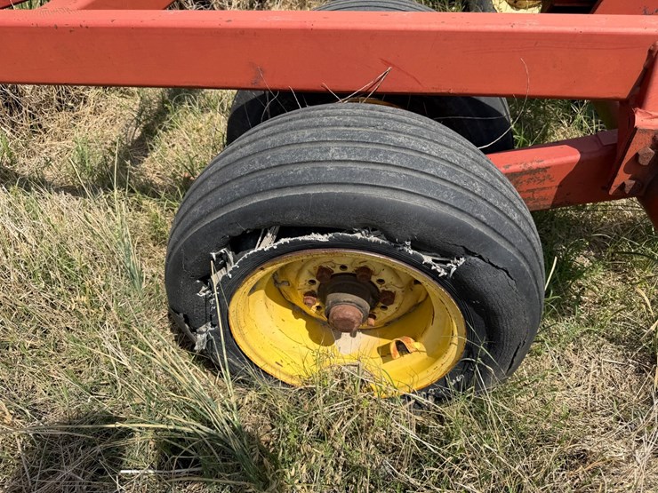 sunflower-1233-27-image-5