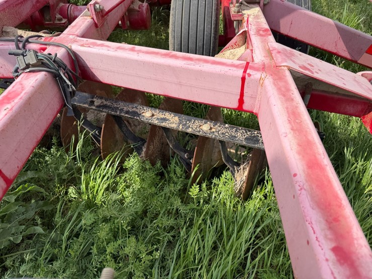 sunflower-1234-image-22