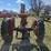 #526-•-farmall-h-tractor-image-4
