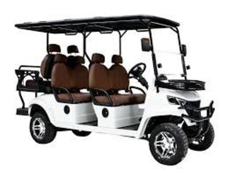 sdlanch-6-passenger-golf-cart-image-1