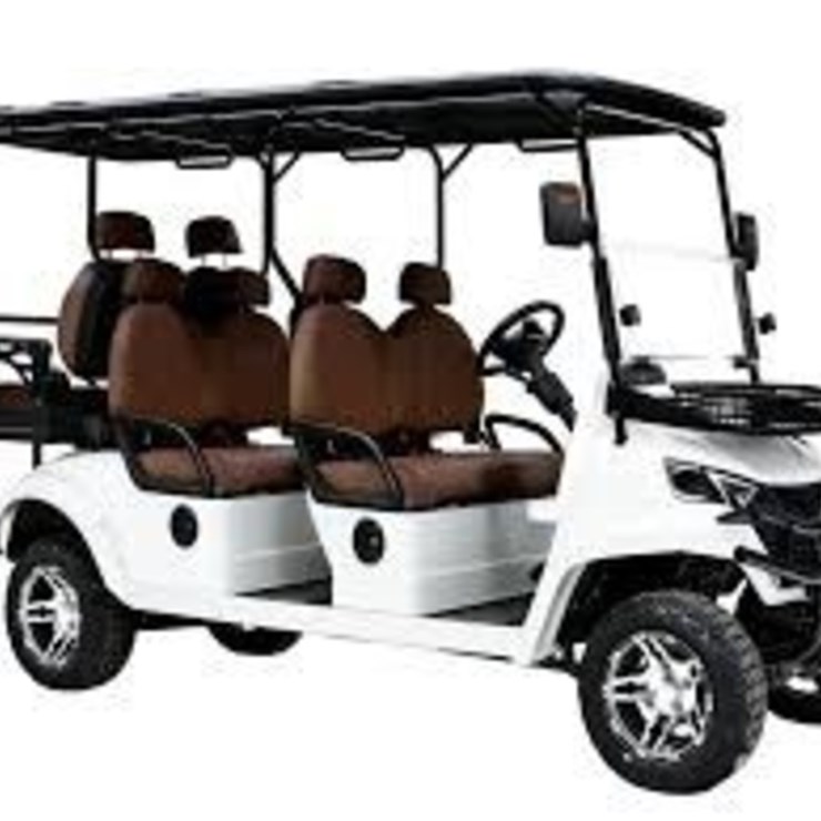 SDLanch 6-Passenger Golf Cart