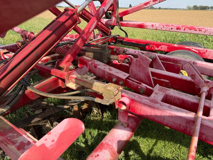 sunflower-1234-image-35