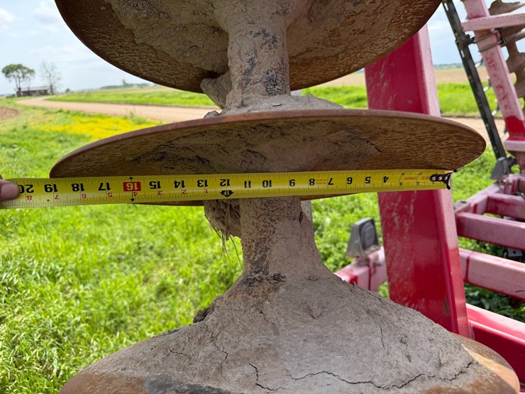 sunflower-1234-image-65