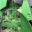 2010-john-deere-8270r-image-61