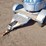 shopmade-livestock-trailer-image-3