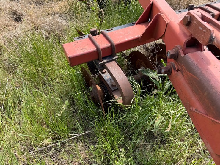 sunflower-1233-27-image-68