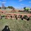 #537-•-5-bottom-plow-image-6