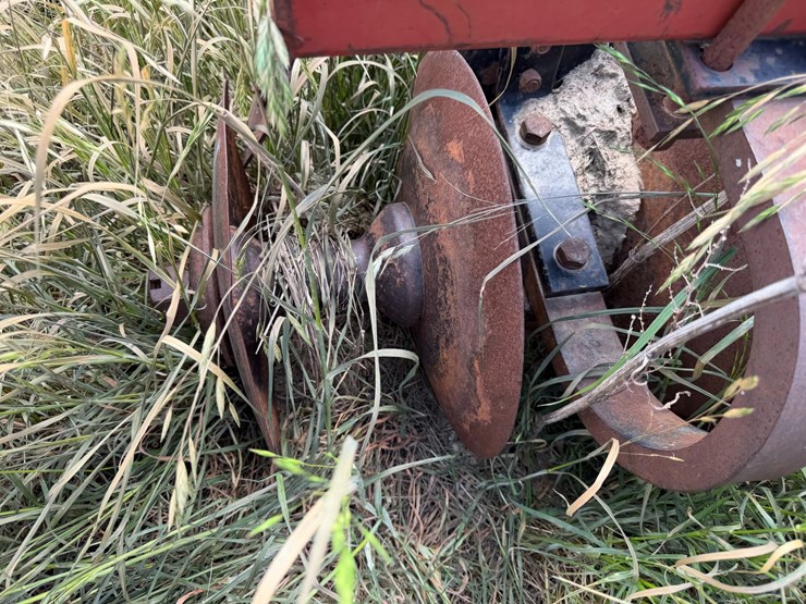 sunflower-1233-27-image-74