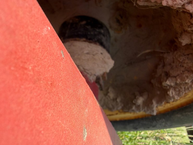 sunflower-1233-27-image-19