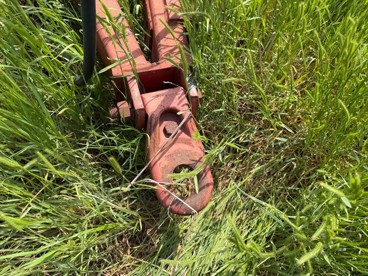 sunflower-1233-27-image-56