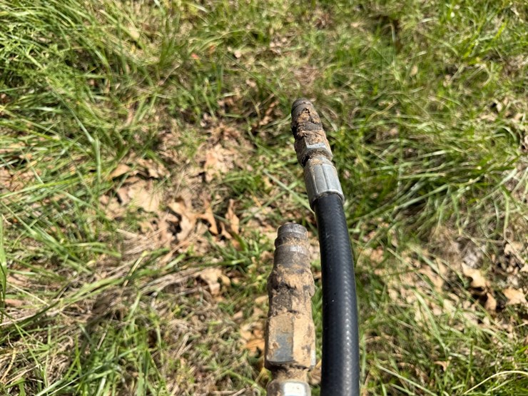 sunflower-1233-32-image-43