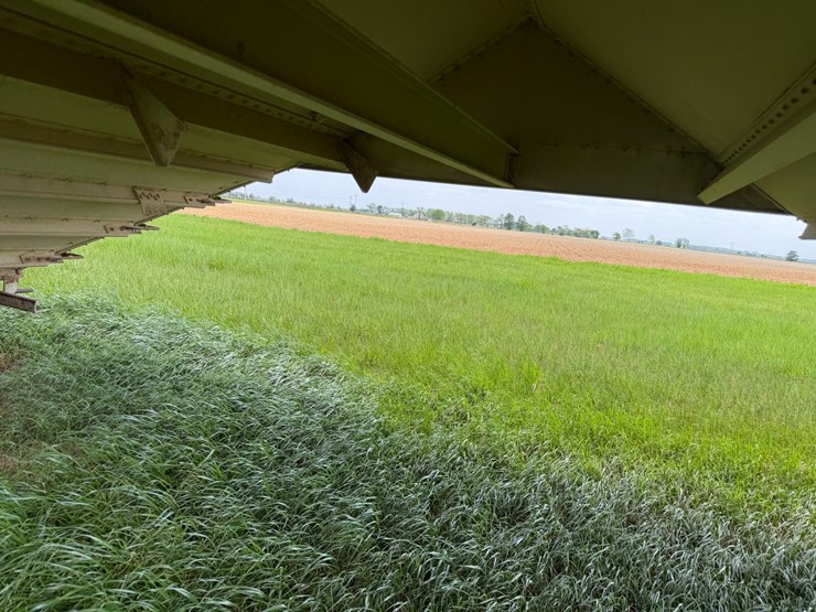 1978-wilson-40-image-23