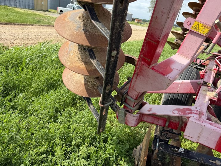 sunflower-1234-image-28