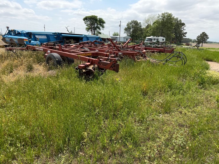 sunflower-1233-27-image-2