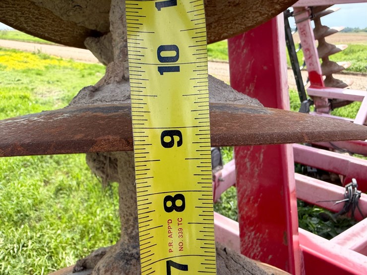 sunflower-1234-image-64