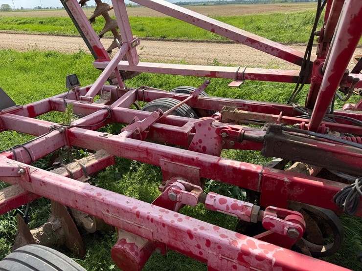 sunflower-1234-image-61