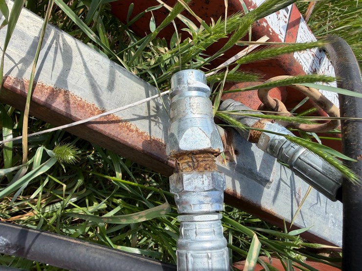 sunflower-1233-27-image-59