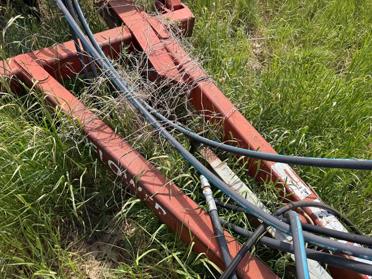 sunflower-1233-27-image-60