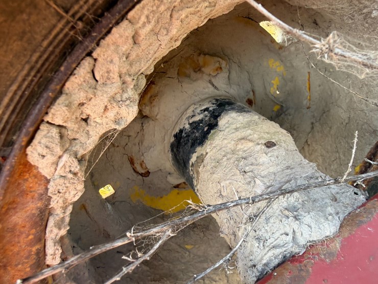 sunflower-1233-27-image-6