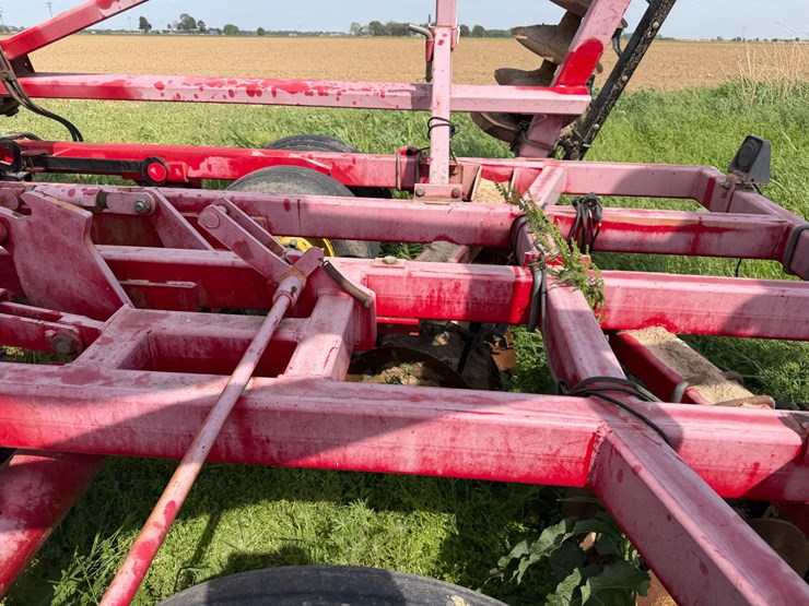 sunflower-1234-image-34