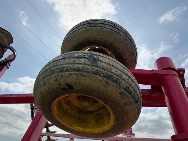 sunflower-1234-image-16