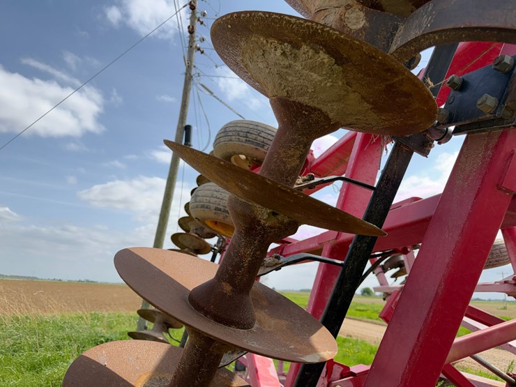 sunflower-1234-image-57