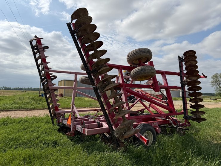 sunflower-1234-image-3