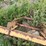 #45270-•-water-furrow-plow-image-13