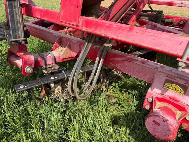 sunflower-1234-image-36