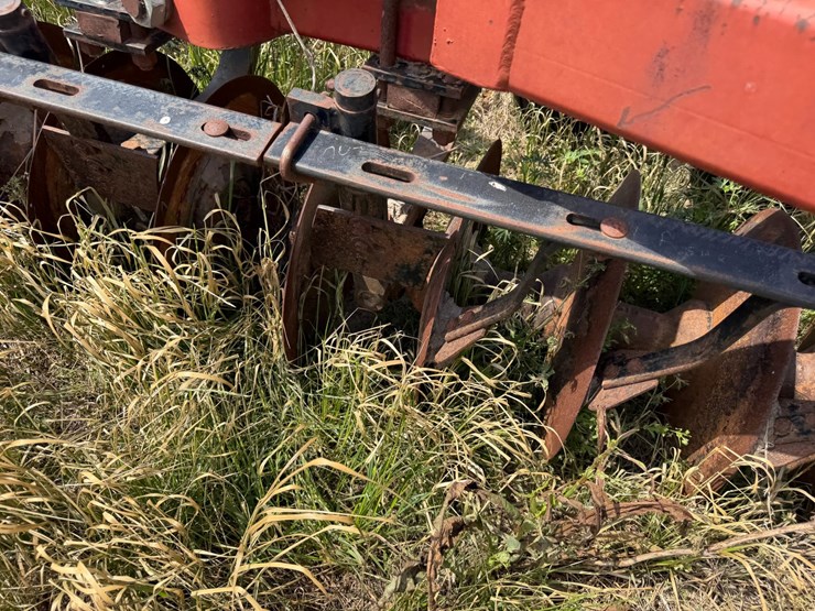 sunflower-1233-27-image-33