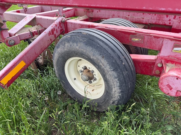 sunflower-1234-image-13