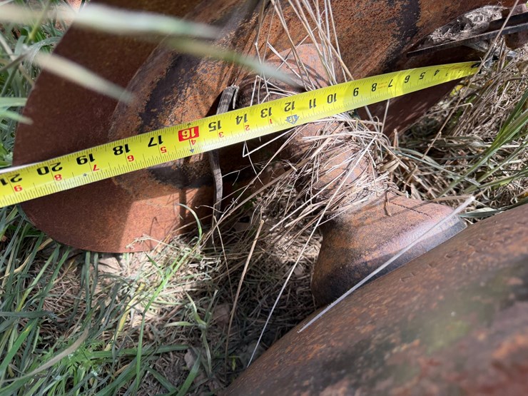 sunflower-1233-27-image-76